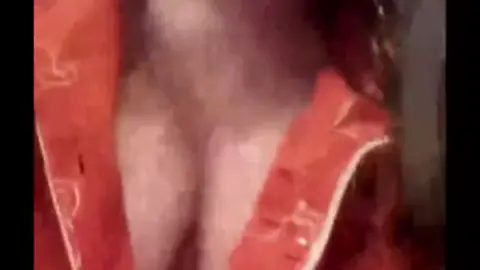 سكس انجي خوري تستعرض بزازها الملبن في البث المباشر للمتابعين